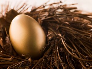 Gold egg in nest